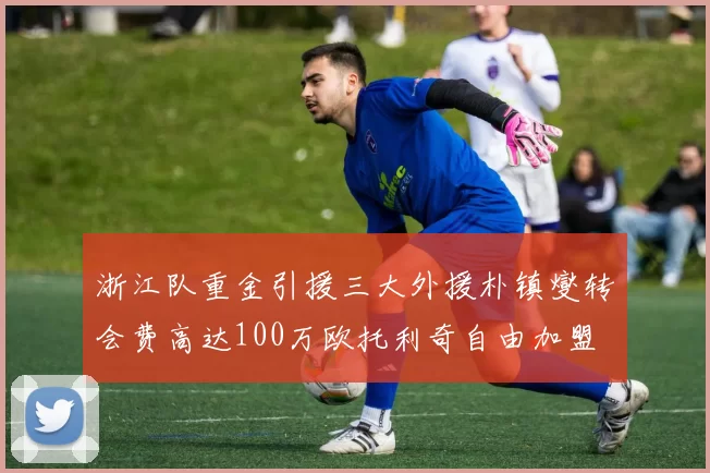浙江队重金引援三大外援朴镇燮转会费高达100万欧托利奇自由加盟