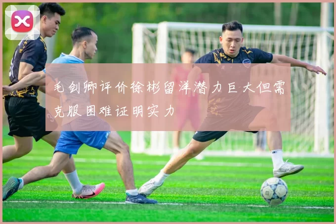 毛剑卿评价徐彬留洋潜力巨大但需克服困难证明实力