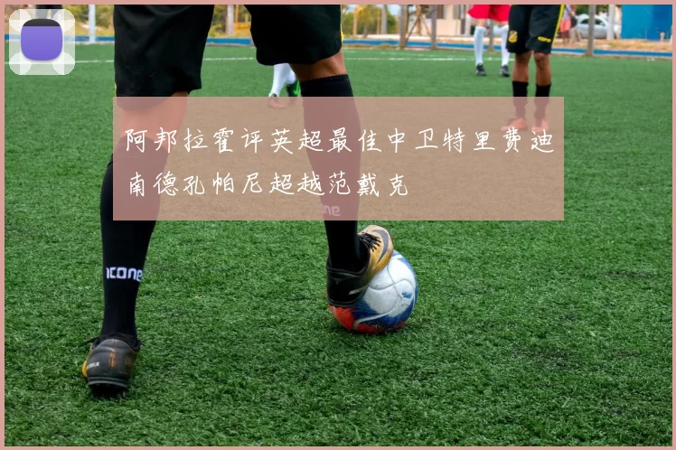 阿邦拉霍评英超最佳中卫特里费迪南德孔帕尼超越范戴克