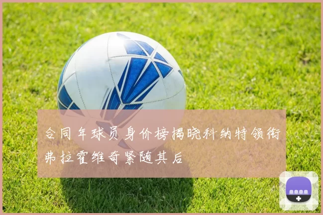 合同年球员身价榜揭晓科纳特领衔弗拉霍维奇紧随其后